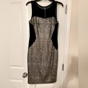 NWT! Frank Lyman Silver and black dress Size 10
